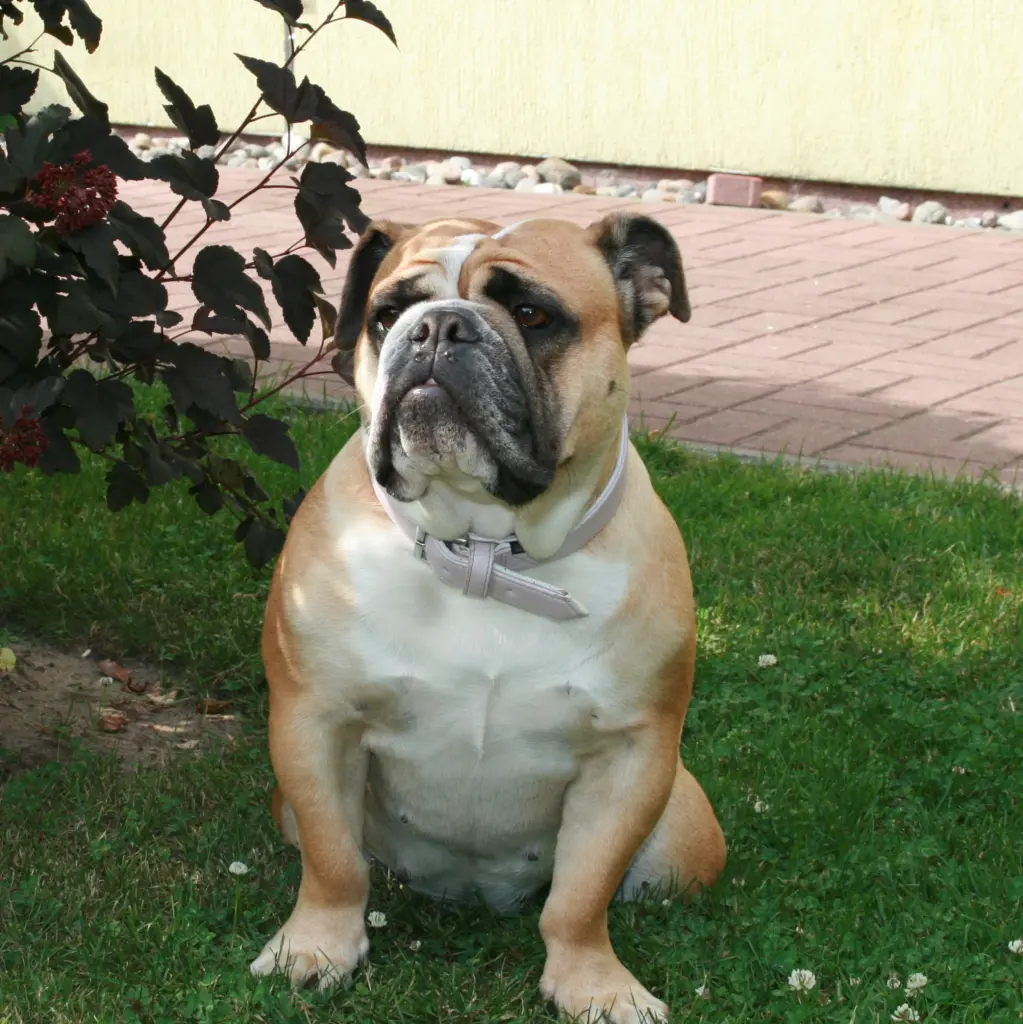 Condolence image of Grit und Emma im Herzen