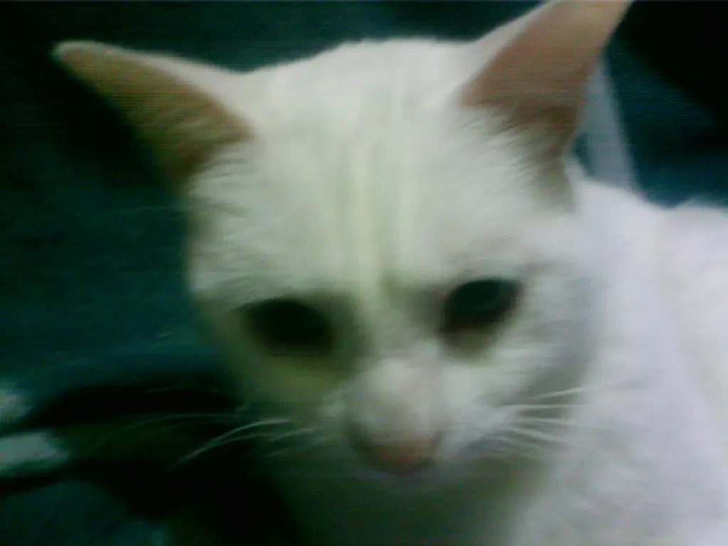 Condolence image of Marion