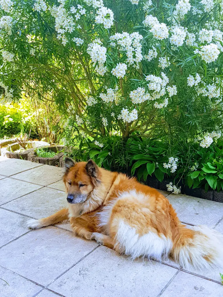 Andachtsbild von Beate und Ilana im Herzen ❤