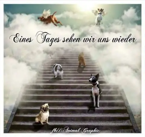 Condolence image of Rosina