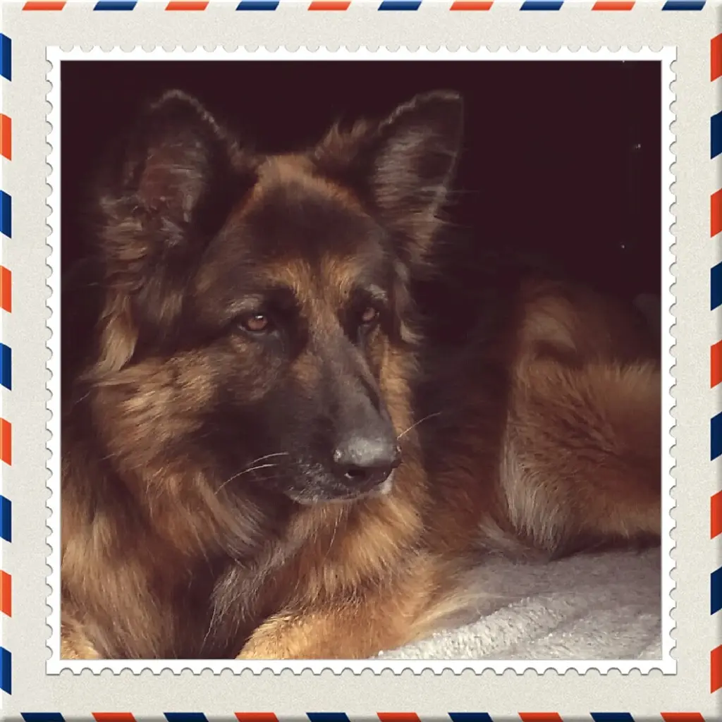 Image from Charly