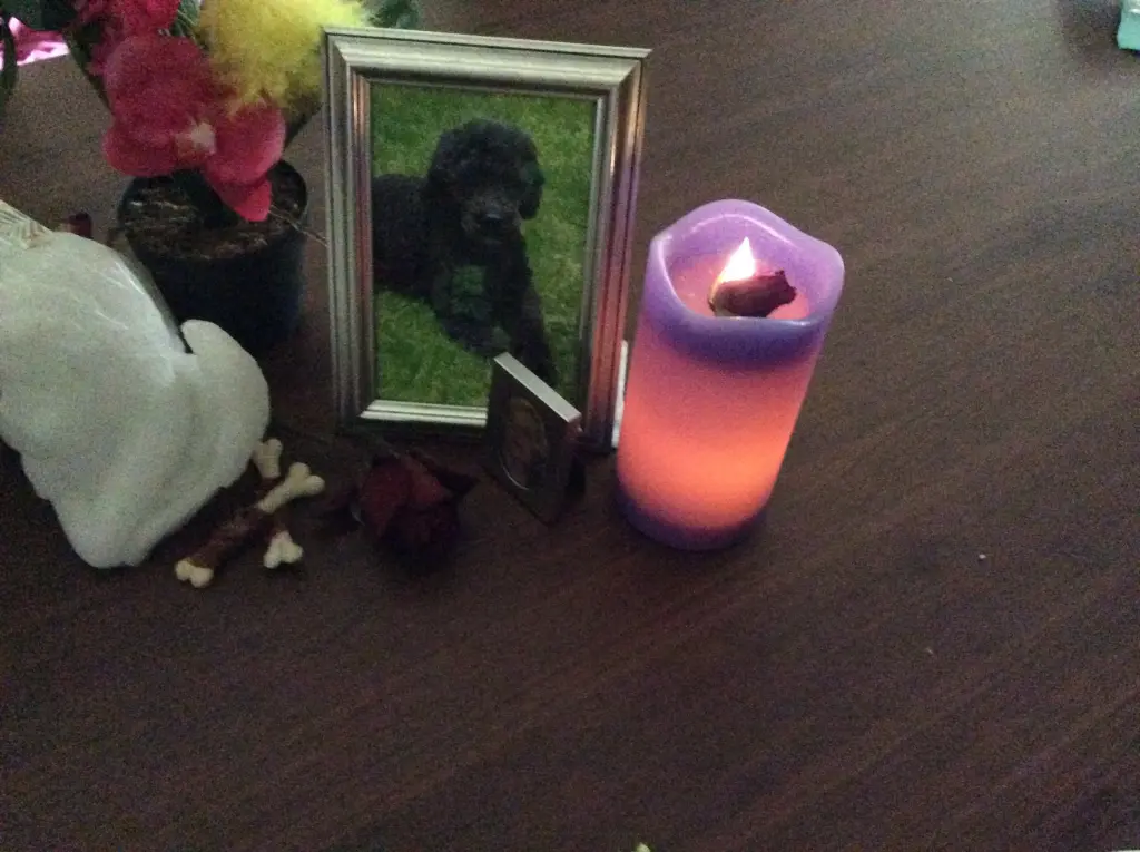 Condolence image of Heidi