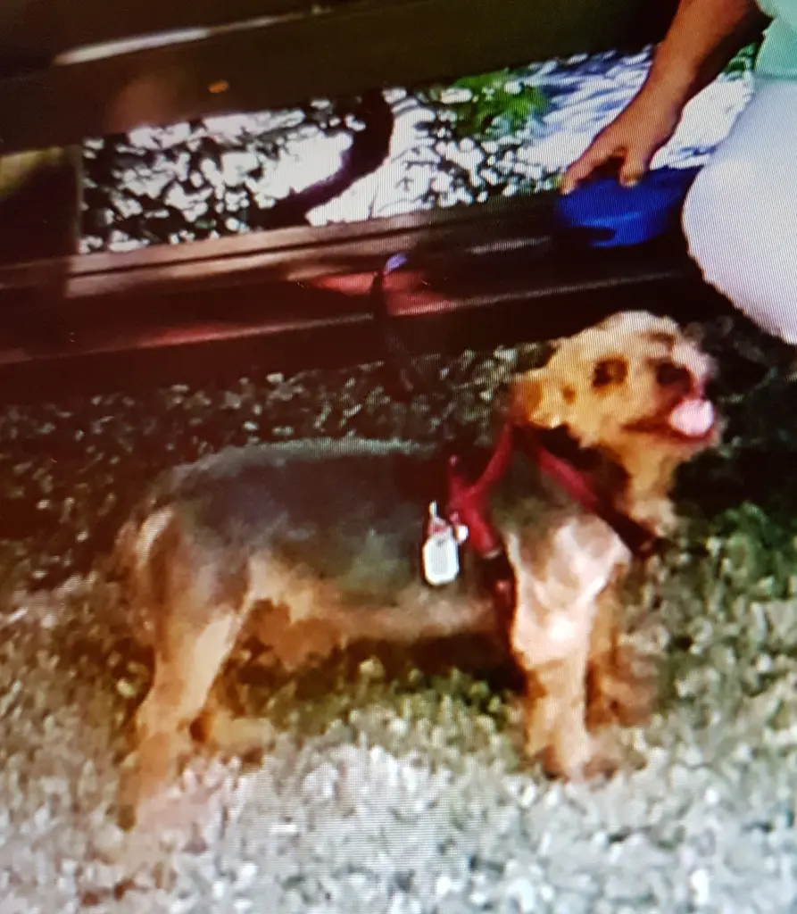 Condolence image of Rena