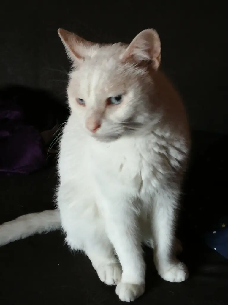 Condolence image of Marion