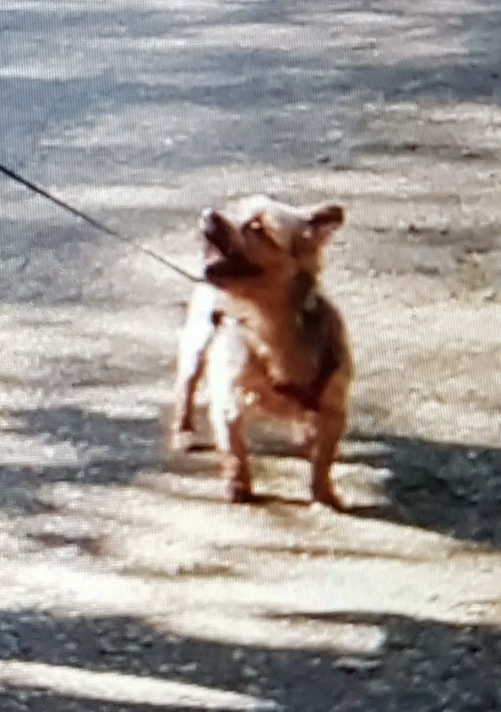 Condolence image of Rena