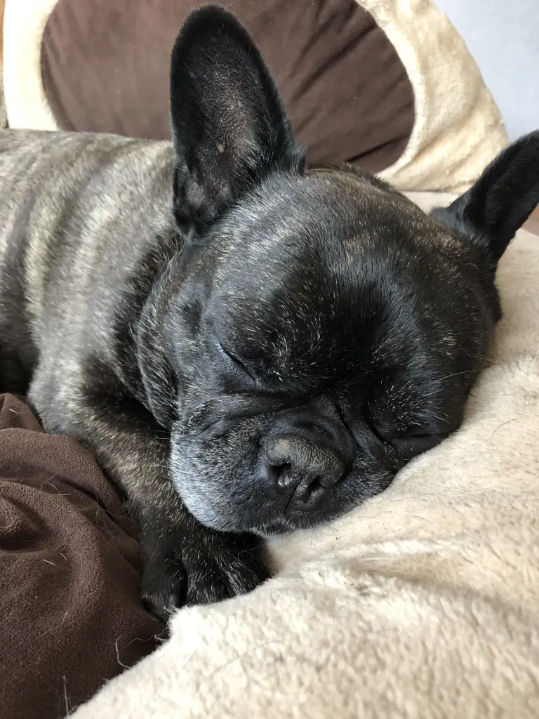 Condolence image of Sabrina