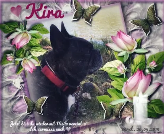 Image from Kira