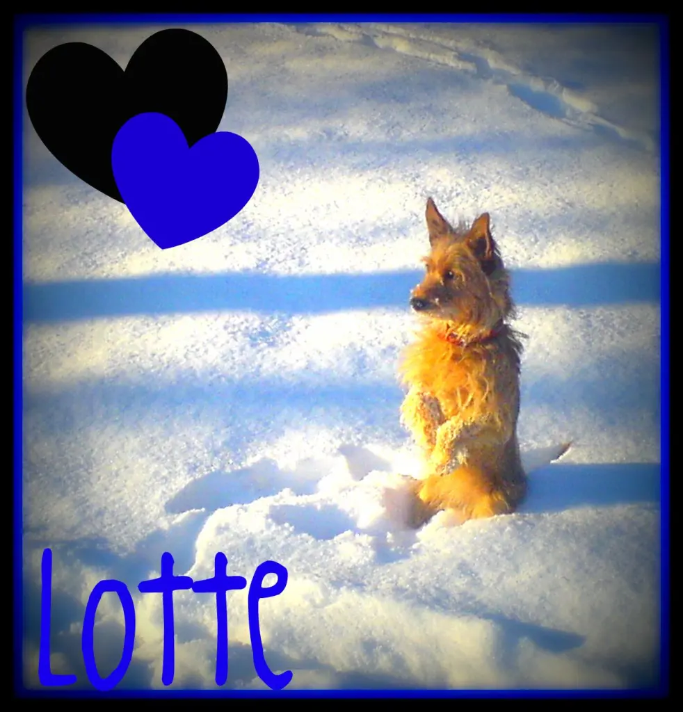 Condolence image of Kerstin