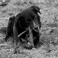 Image from Balou