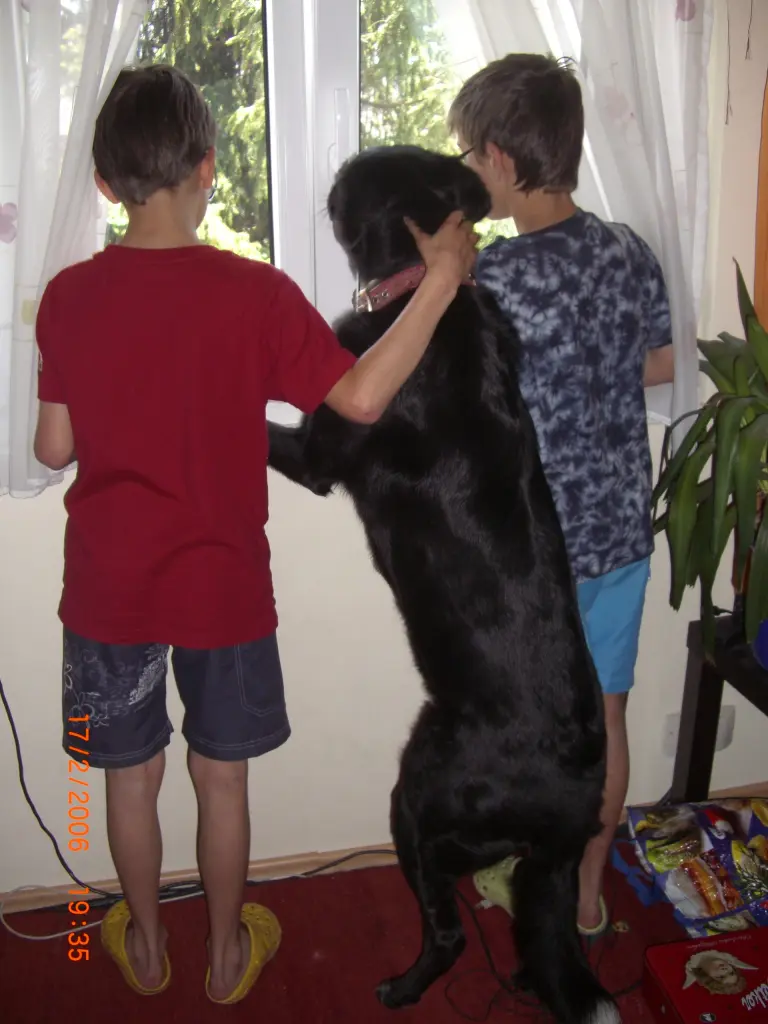 Image from Balou