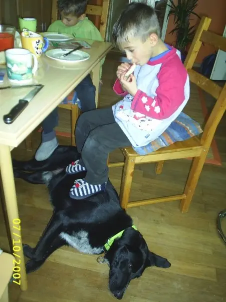 Image from Balou