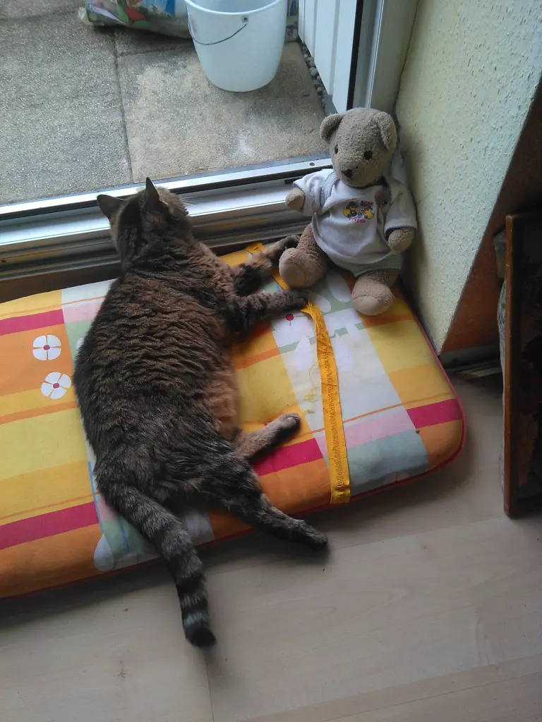 Condolence image of Evi