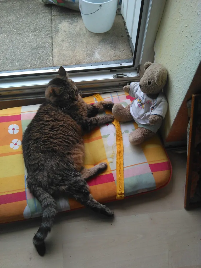 Condolence image of Evi