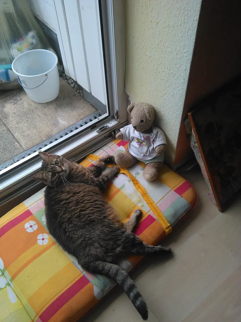 Condolence image of Evi