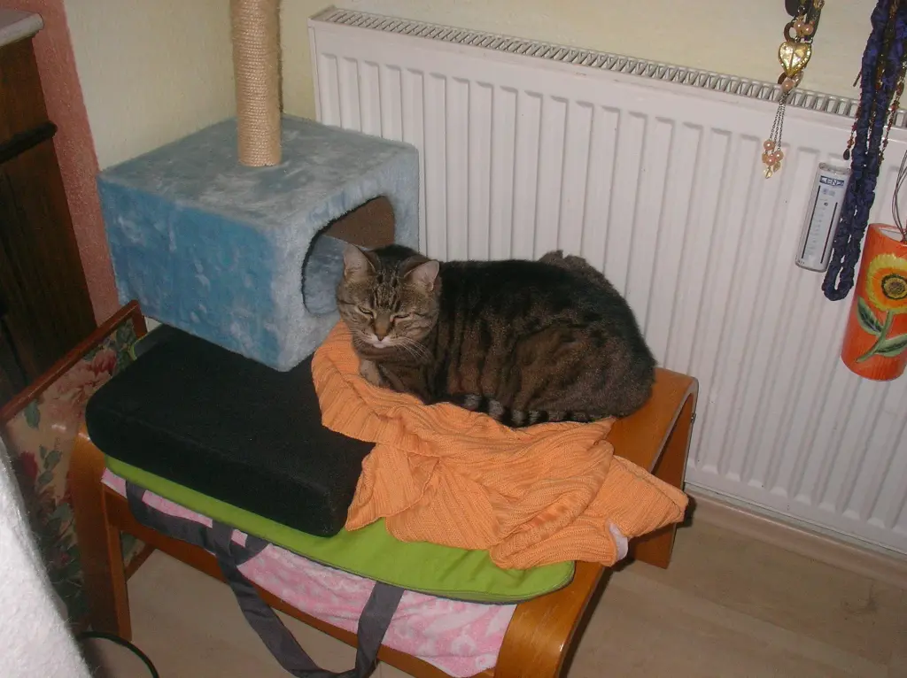 Image from Ramseline