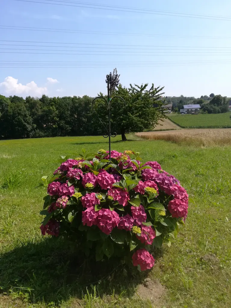 Condolence image of Angela
