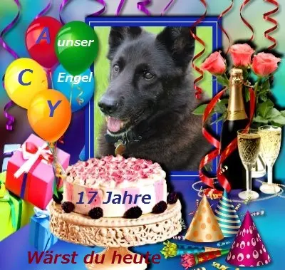 Image from Unser geliebter ACY