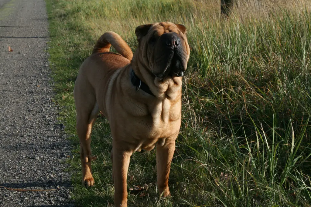 Image from Five