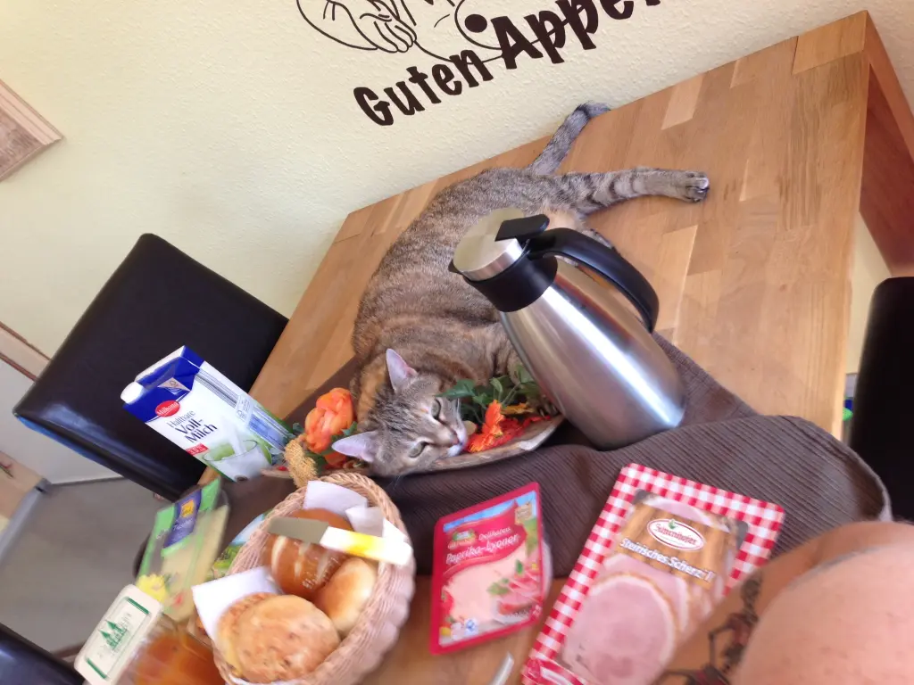 Image from Kira