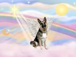 Condolence image of Gisela