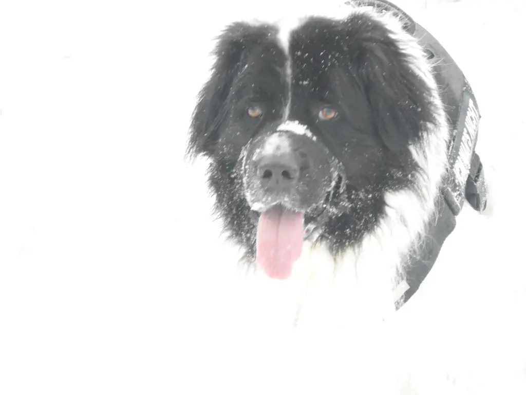 Condolence image of Kathrin