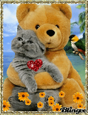 Condolence image of ❤️❤️❤️❤️❤️❤️❤️❤️❤️❤️❤️❤️