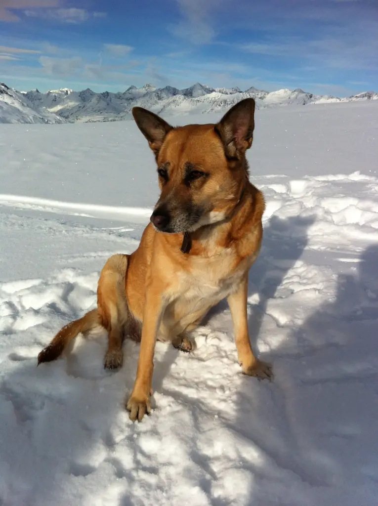 Condolence image of Heike