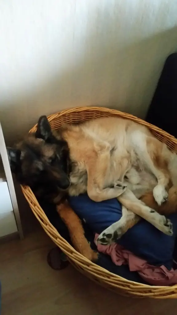 Condolence image of Benny
