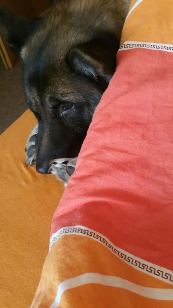 Condolence image of Benny