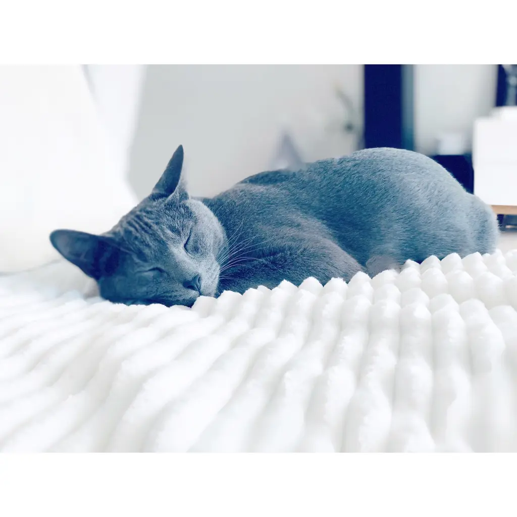 Image from Blue
