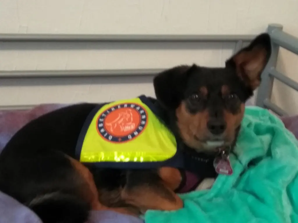 Andachtsbild von Corinna