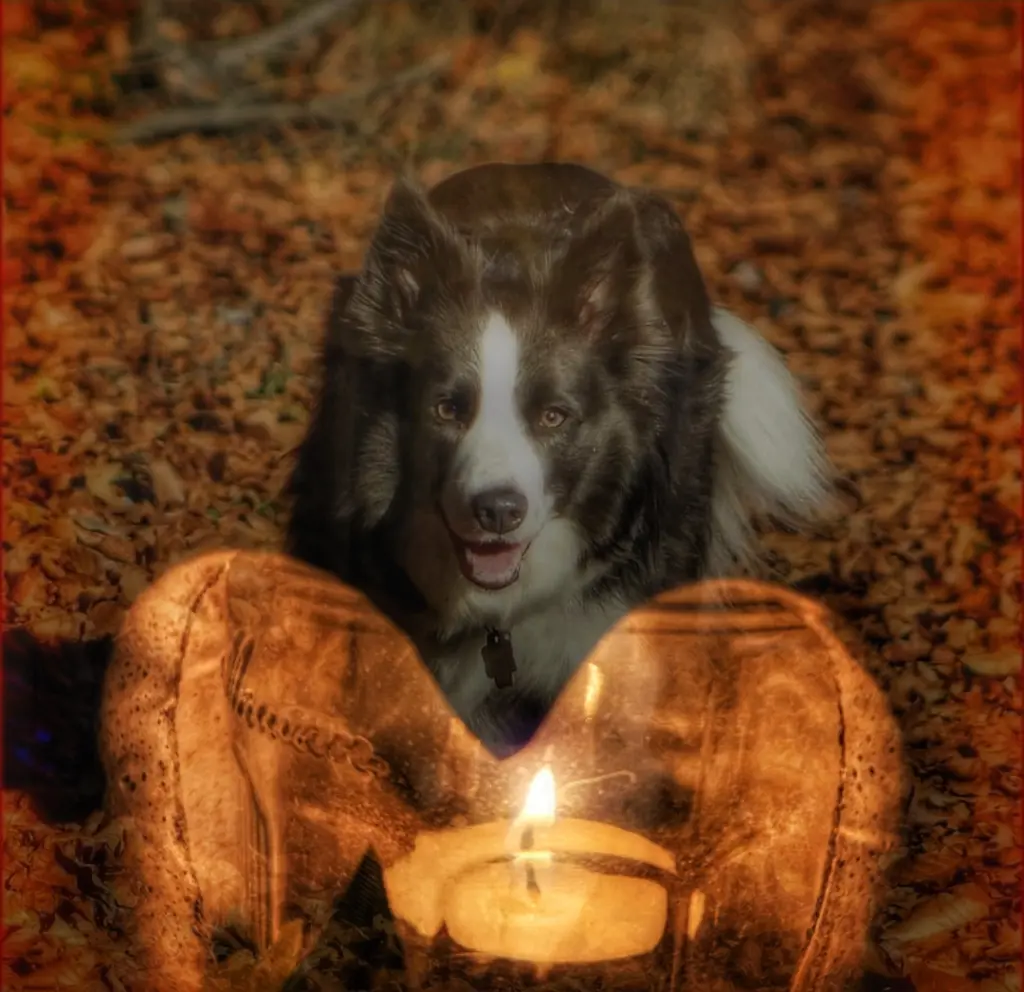 Condolence image of Vera