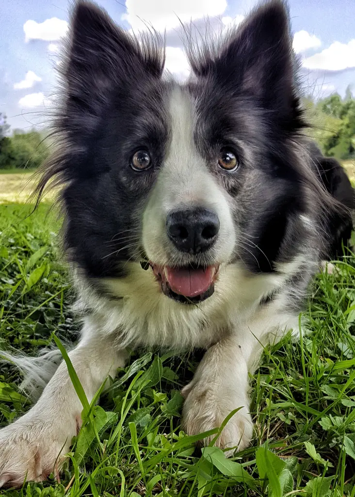 Image from Individual Lucy, "Lulle"