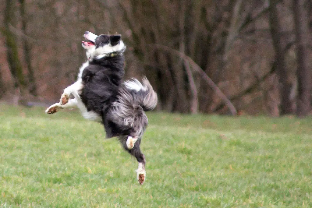 Image from Individual Lucy, "Lulle"