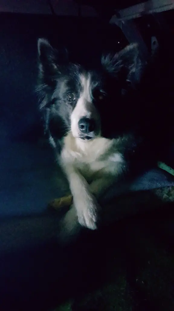 Image from Individual Lucy, "Lulle"