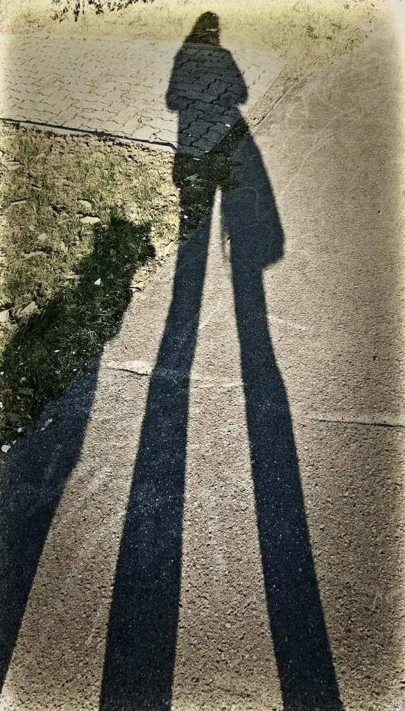Image from Individual Lucy, "Lulle"