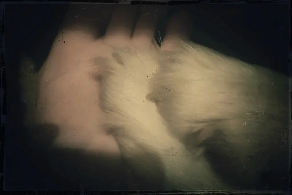 Image from Individual Lucy, "Lulle"
