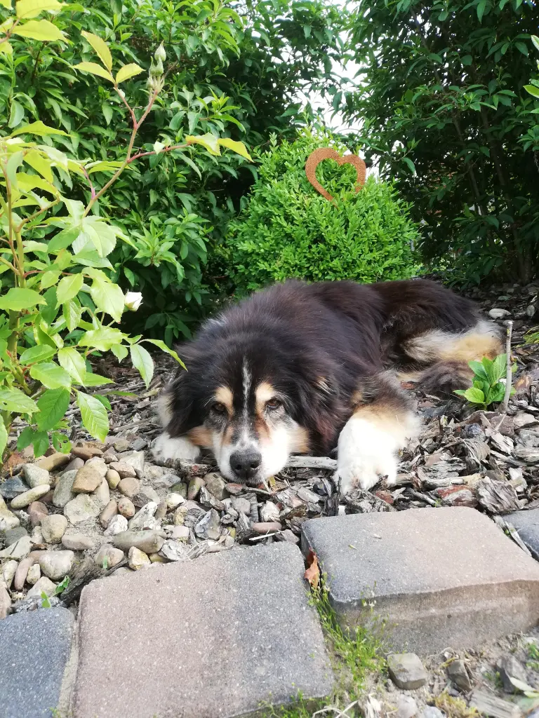 Image from Luna