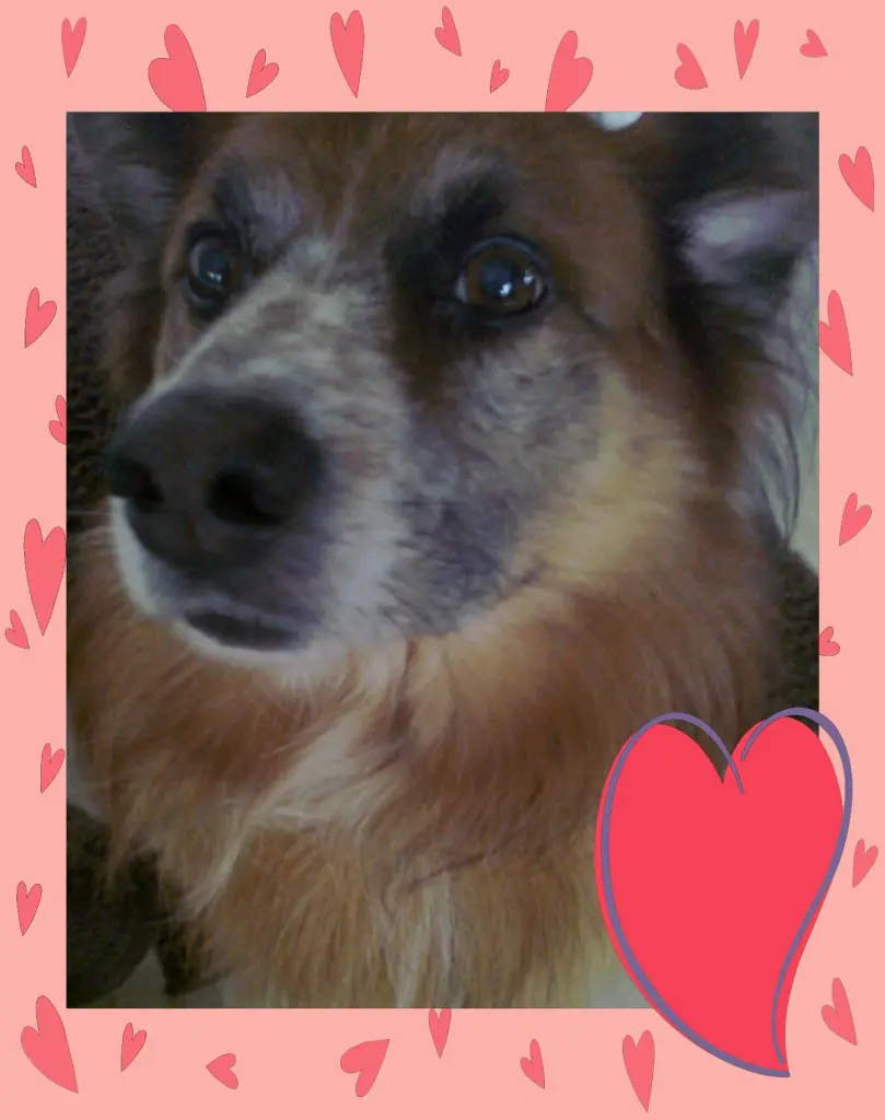 Condolence image of Anja und Merlin