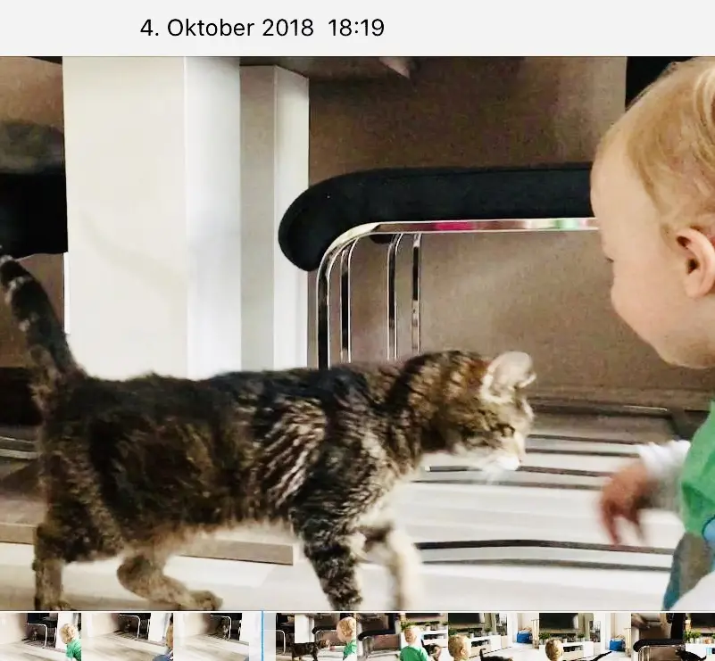 Image from Daisy als auch Blacky
