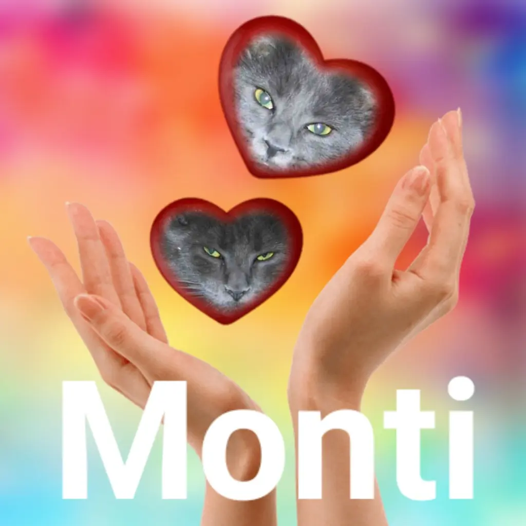 Image from MONTI