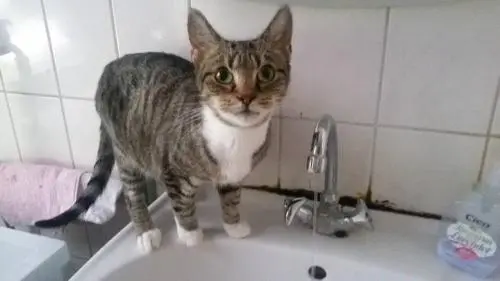 Image from Lilith