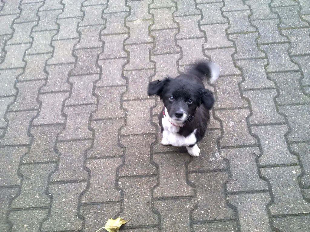 Condolence image of Sabine