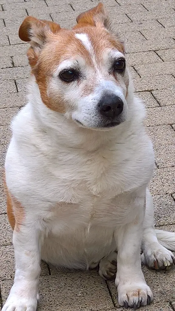 Condolence image of Unbekannt