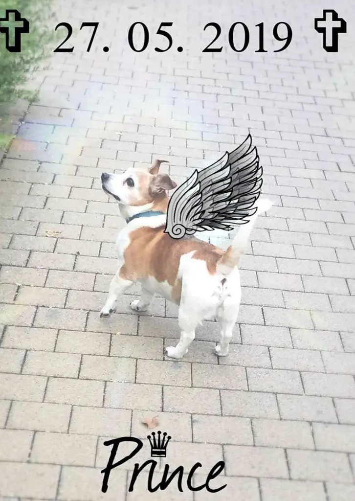 Image from Prince