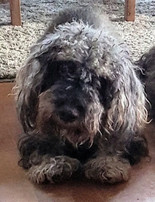 Condolence image of Ingrid