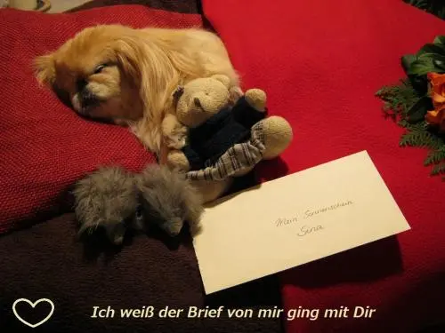 Image from MEIN HERZBLUTSINA