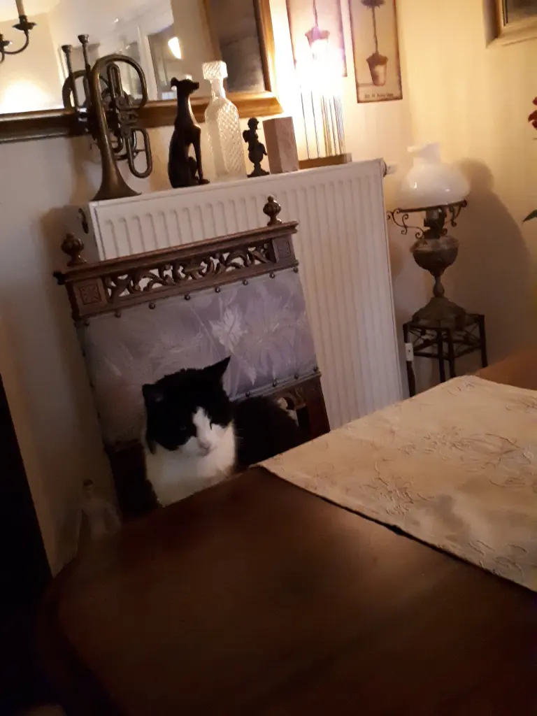 Condolence image of Martina