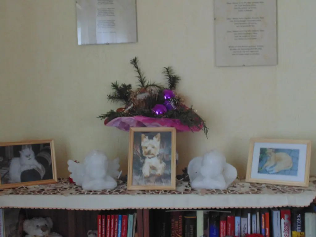 Image from Denny