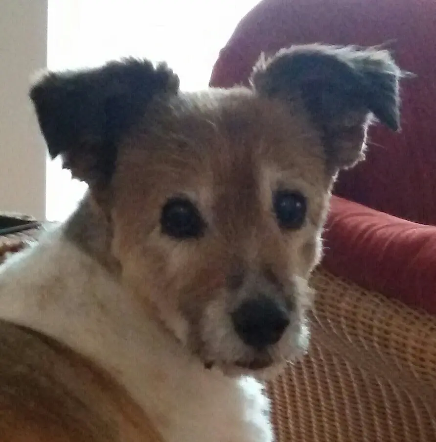 Bild von Lady
